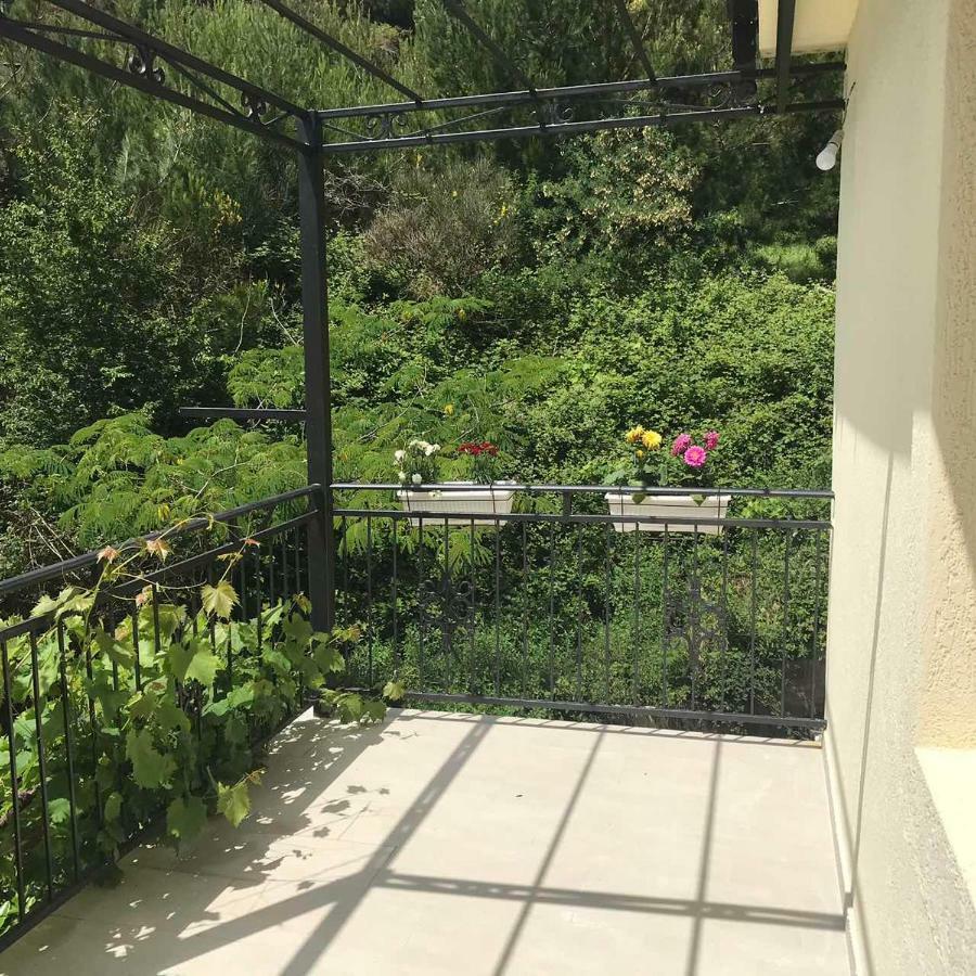 Apartments Petkovic Petrovac Luaran gambar