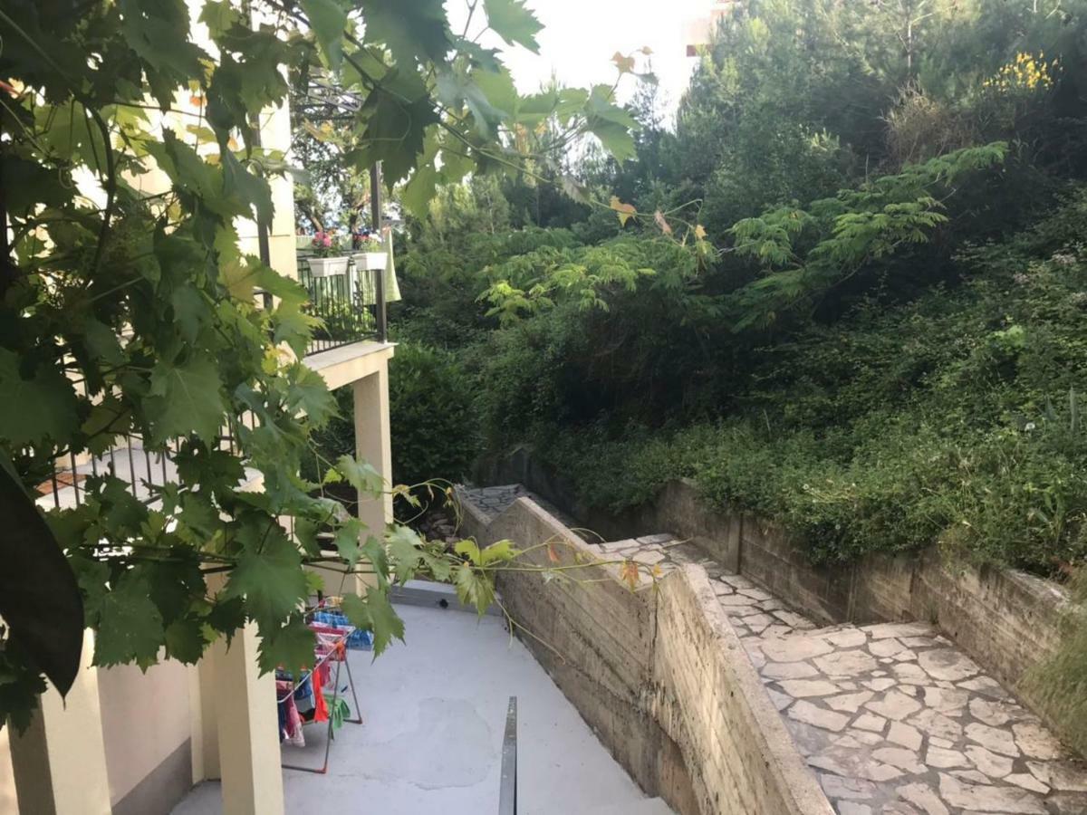 Apartments Petkovic Petrovac Luaran gambar